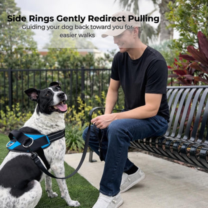 No-Pull Padded Dog Harness with 3 Leash Clips