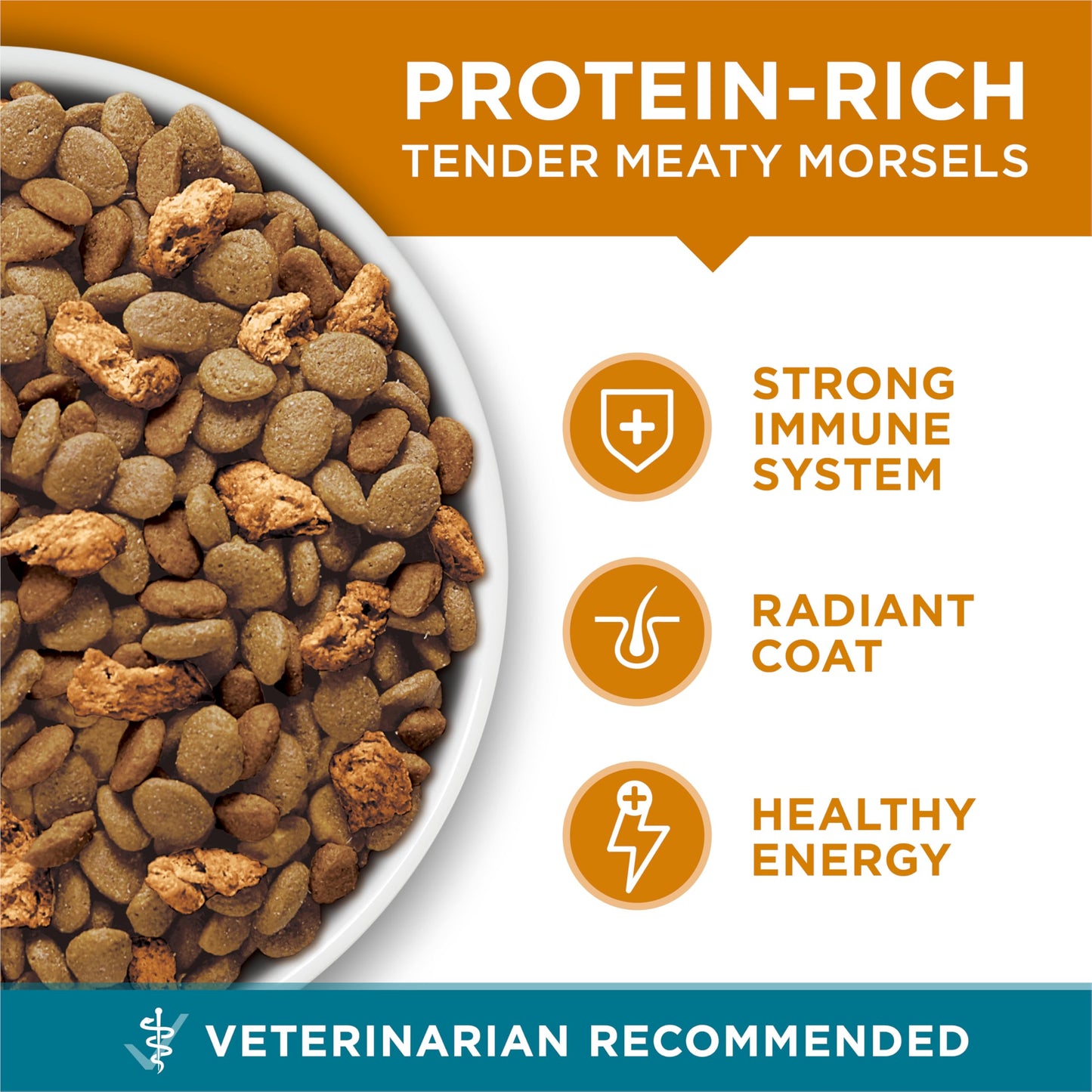 Natural Dry Cat Food with Real Chicken