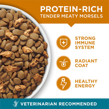 Natural Dry Cat Food with Real Chicken