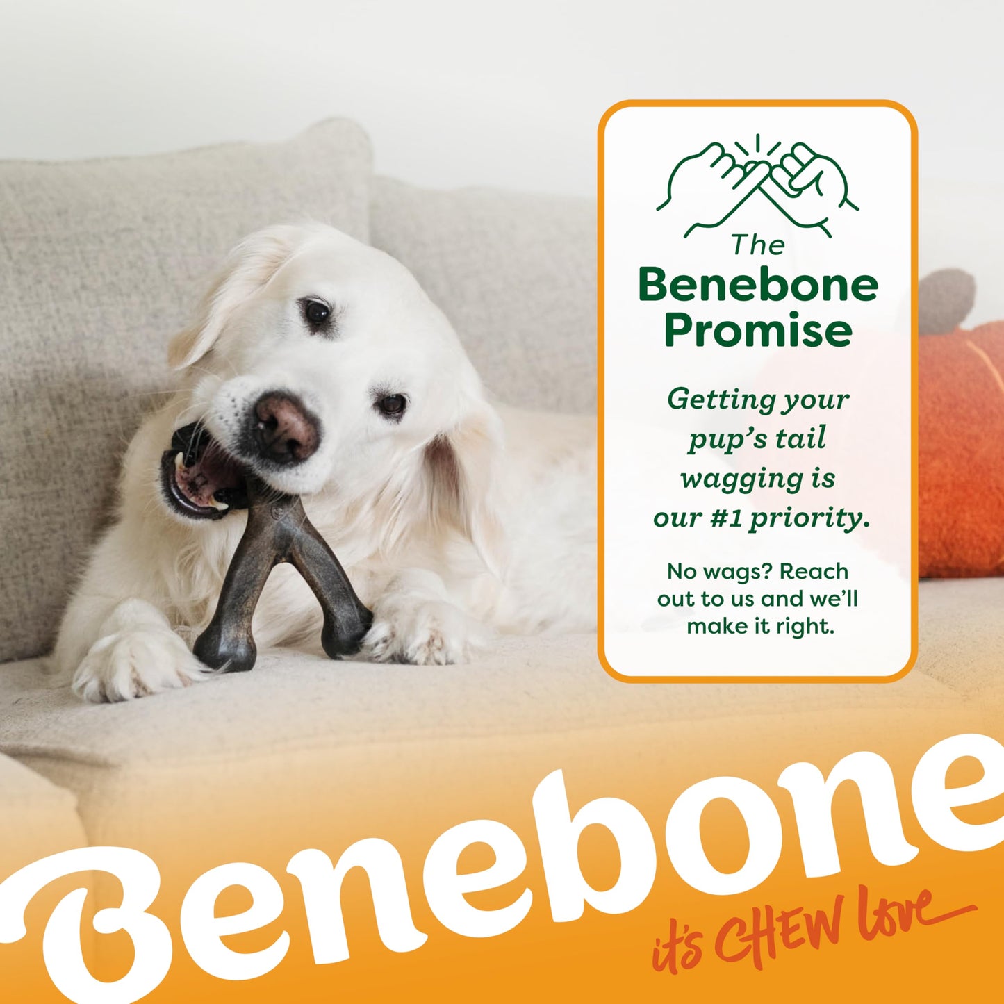 Durable Wishbone Dog Chew Toy for Tough Chewers