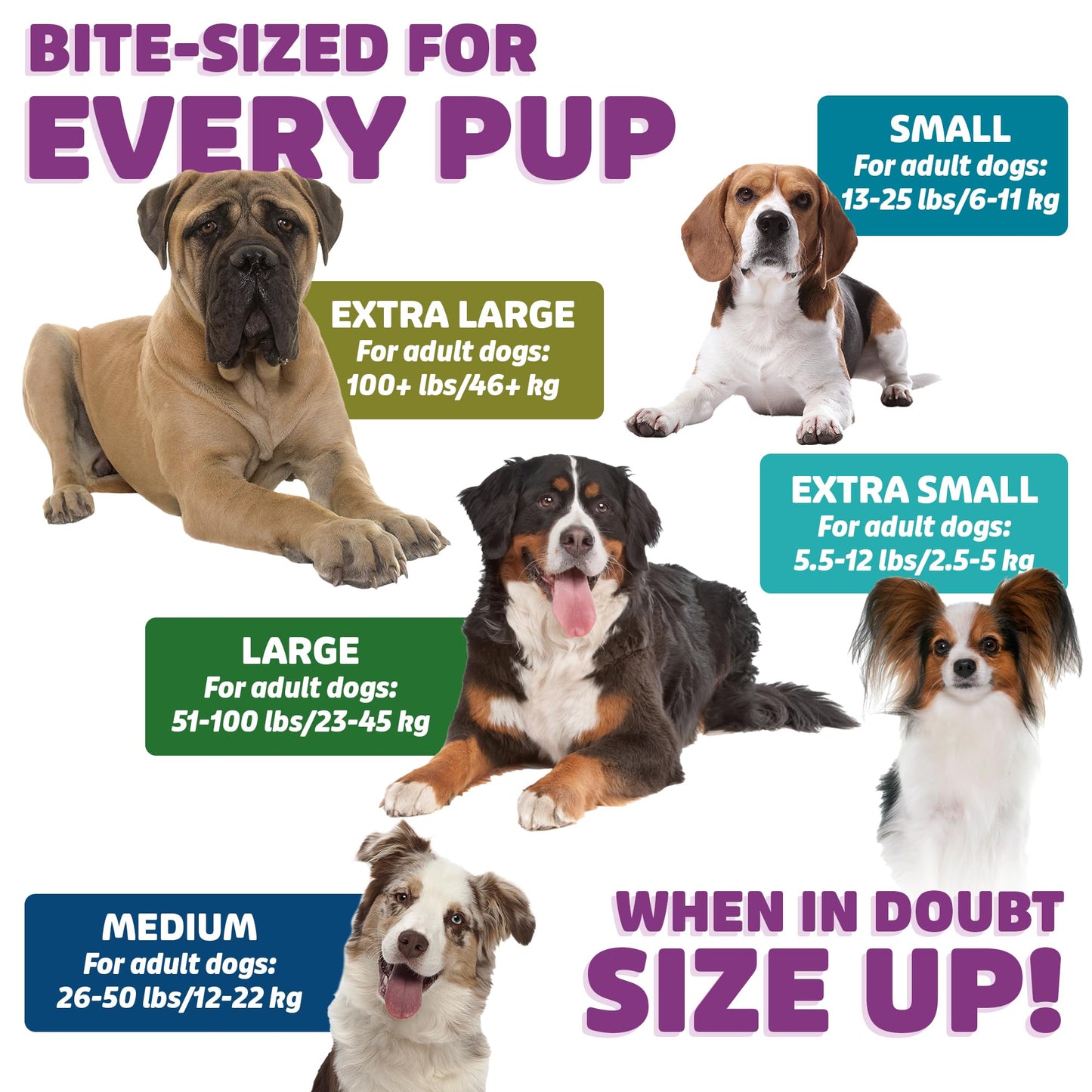 Dental Dog Treats for Daily Chewing & Oral Care
