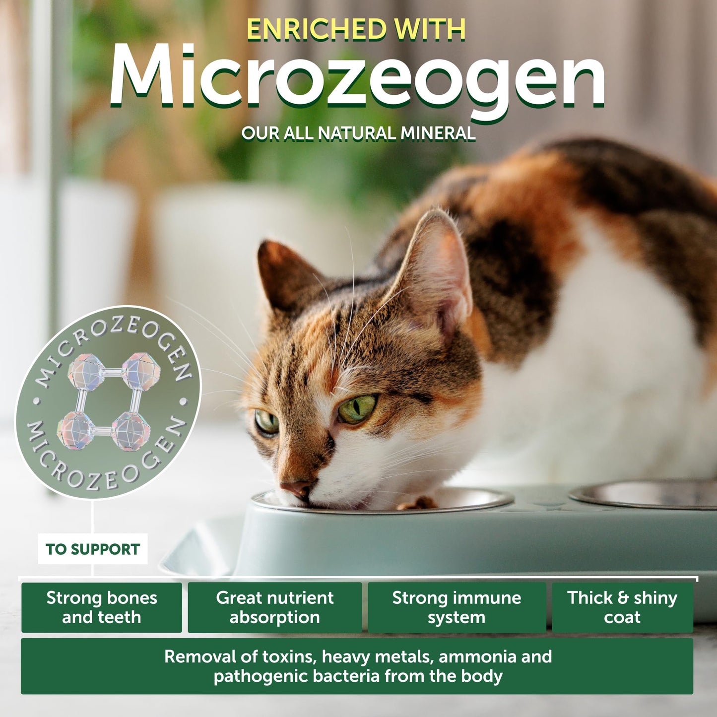 Grain-Free Dry Cat Food with Herring