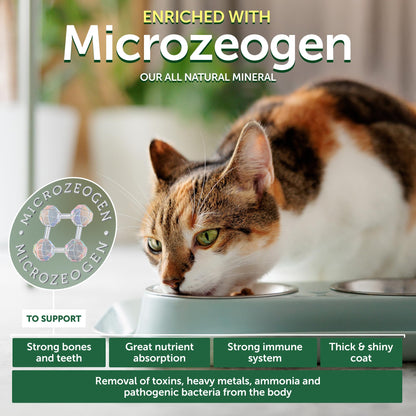 Grain-Free Dry Cat Food with Herring