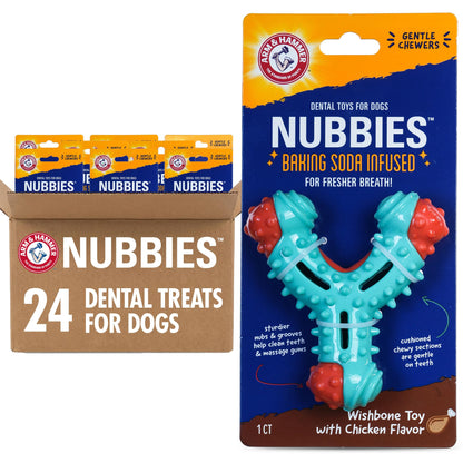 Wishbone Dental Dog Chew Toy with Chicken Flavor