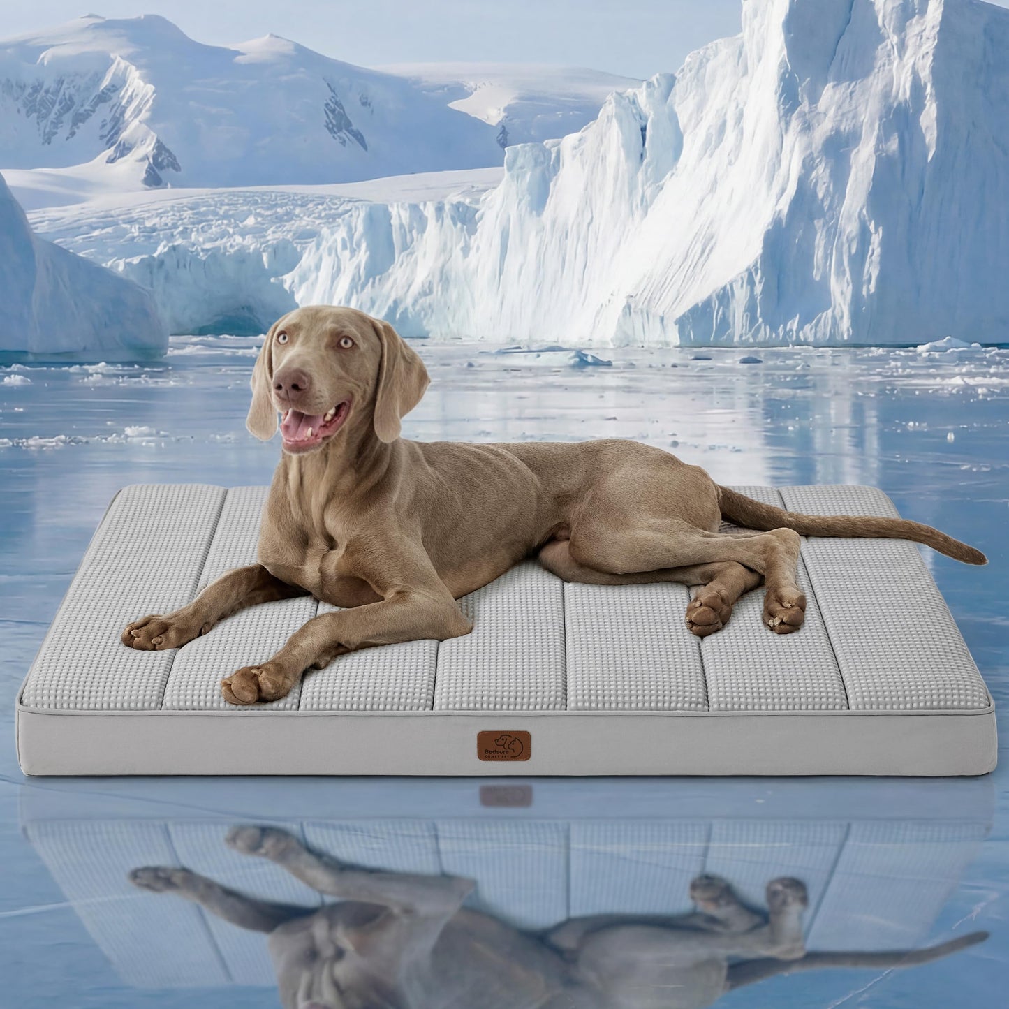 Washable Sherpa Dog Bed for Large Dogs