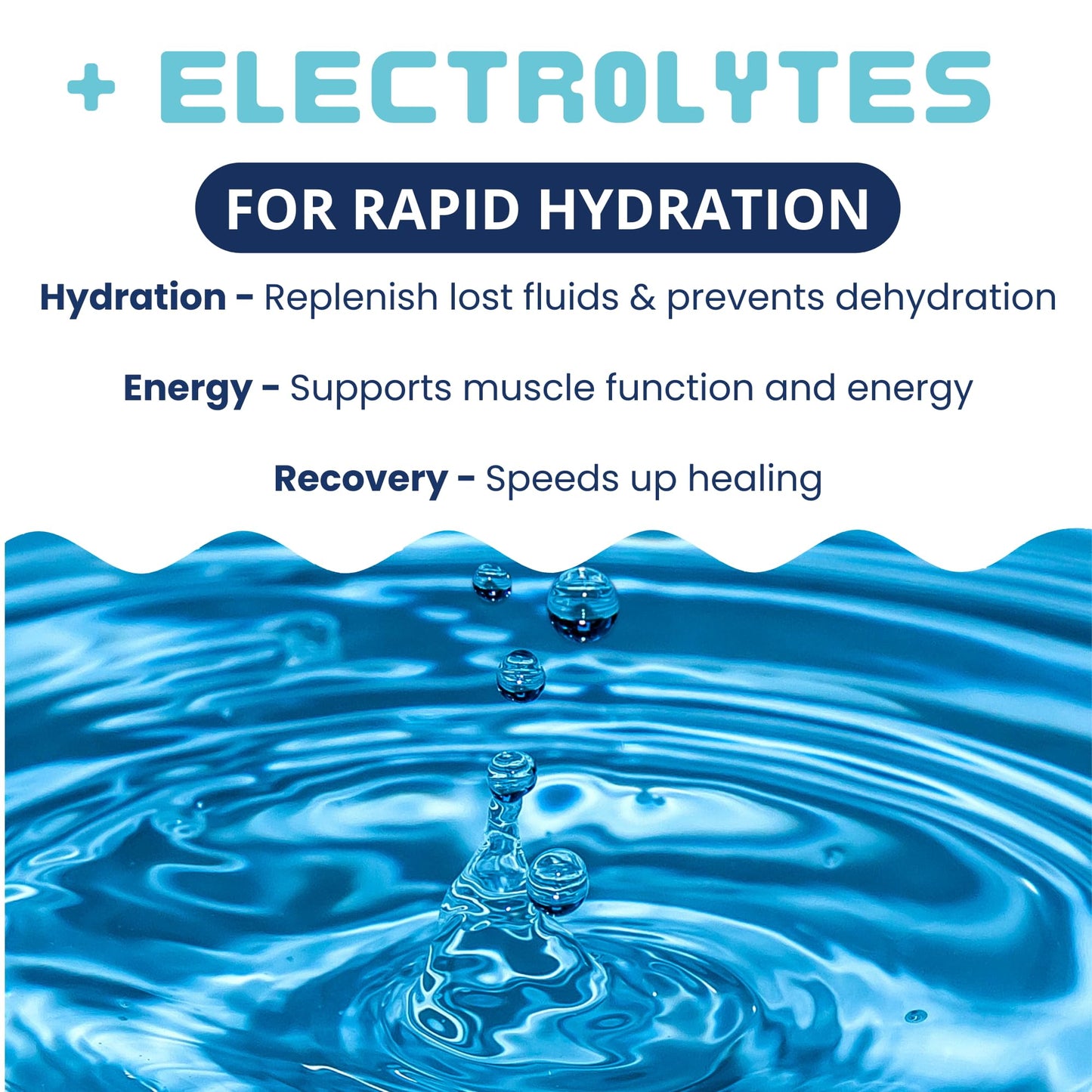 Easy-Digest Bland Diet Dog Food with Electrolytes