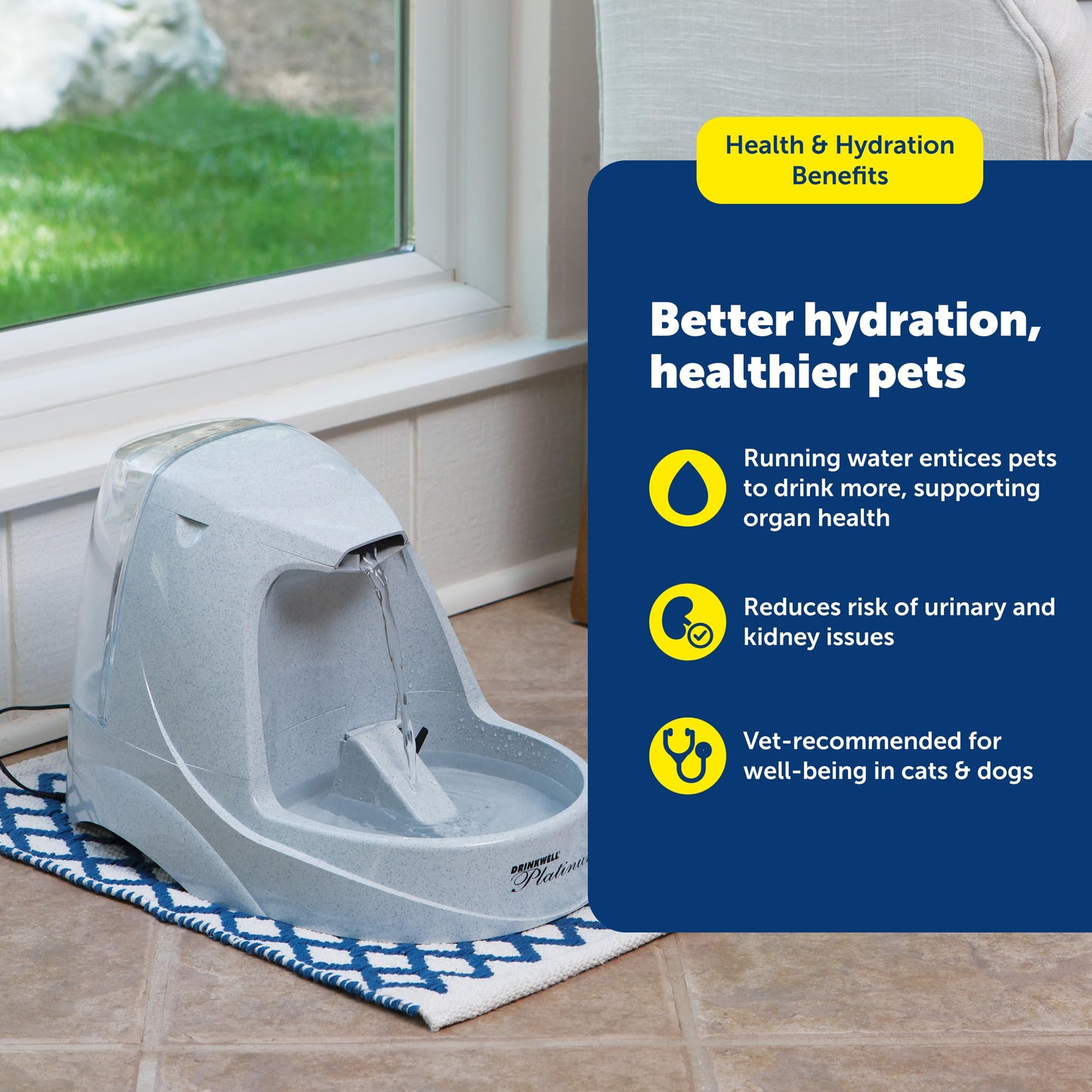 168 oz Pet Water Fountain for Dogs & Cats