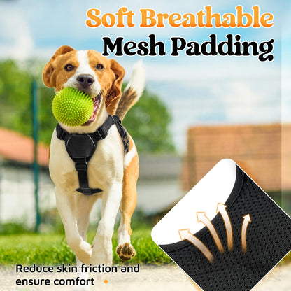 No-Pull Dog Harness with Lift Handle