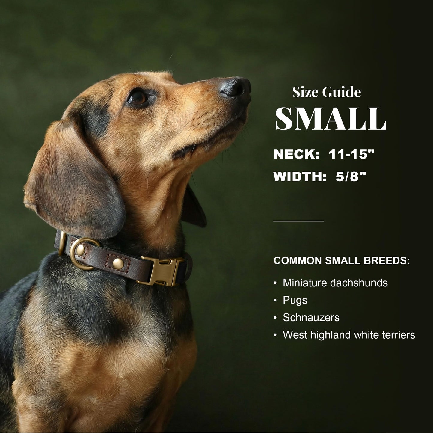 PU Leather Dog Collar with Soft Nylon Lining