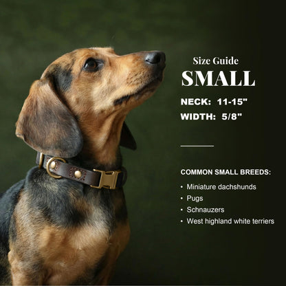 PU Leather Dog Collar with Soft Nylon Lining