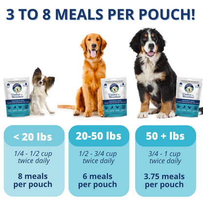 Easy-Digest Bland Diet Dog Food with Electrolytes