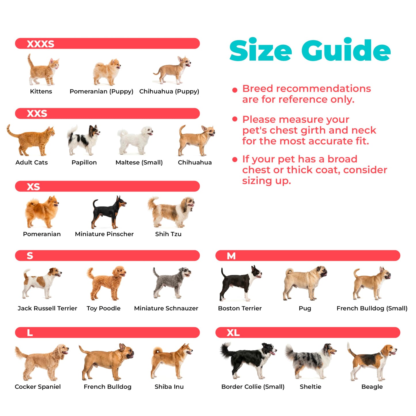 Breathable Step-In Dog Harness for Daily Walks