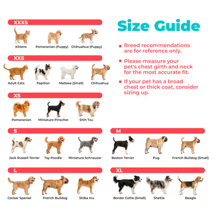 Breathable Step-In Dog Harness for Daily Walks