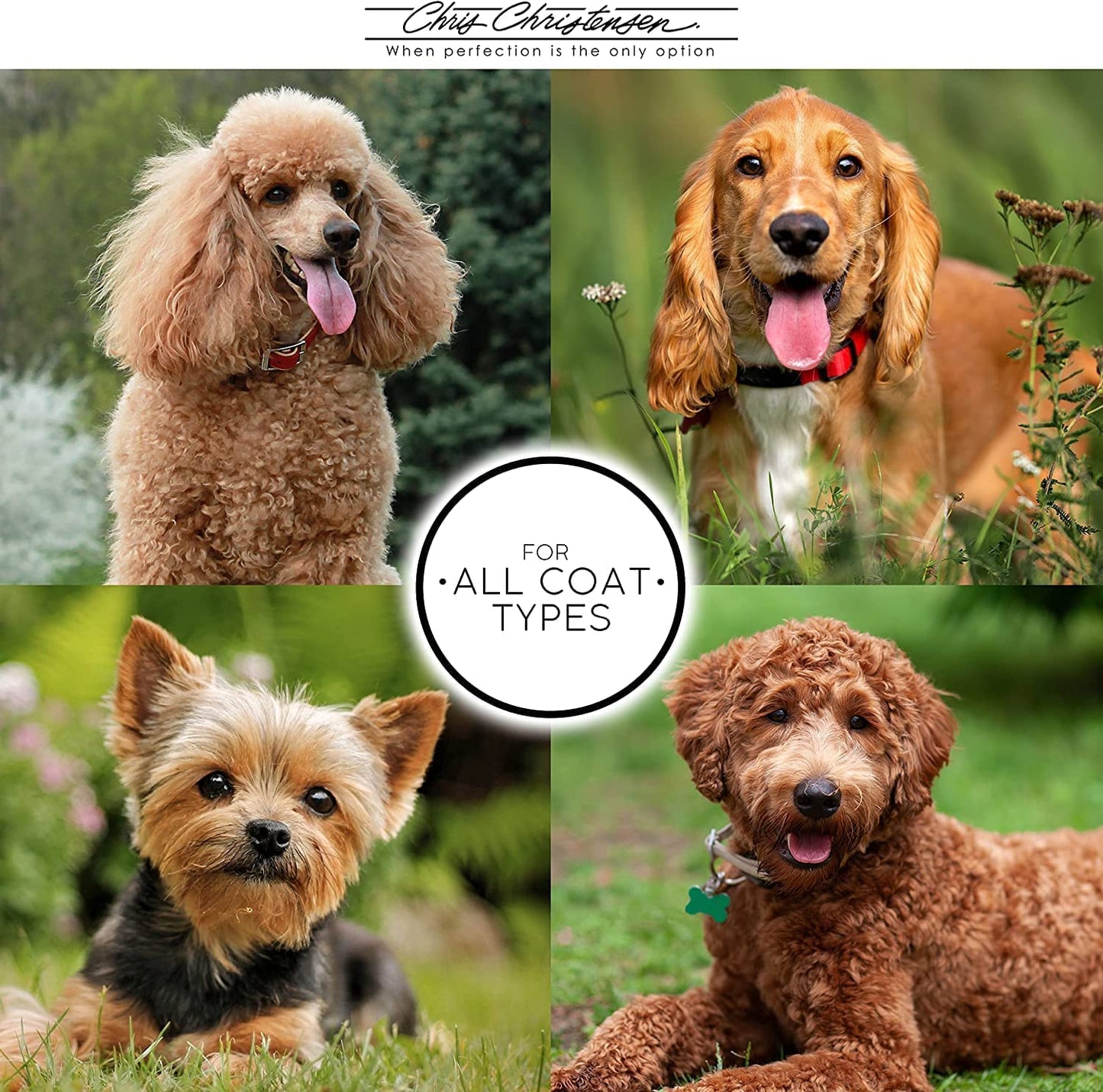 Professional Oval Pin Brush for Dog Grooming