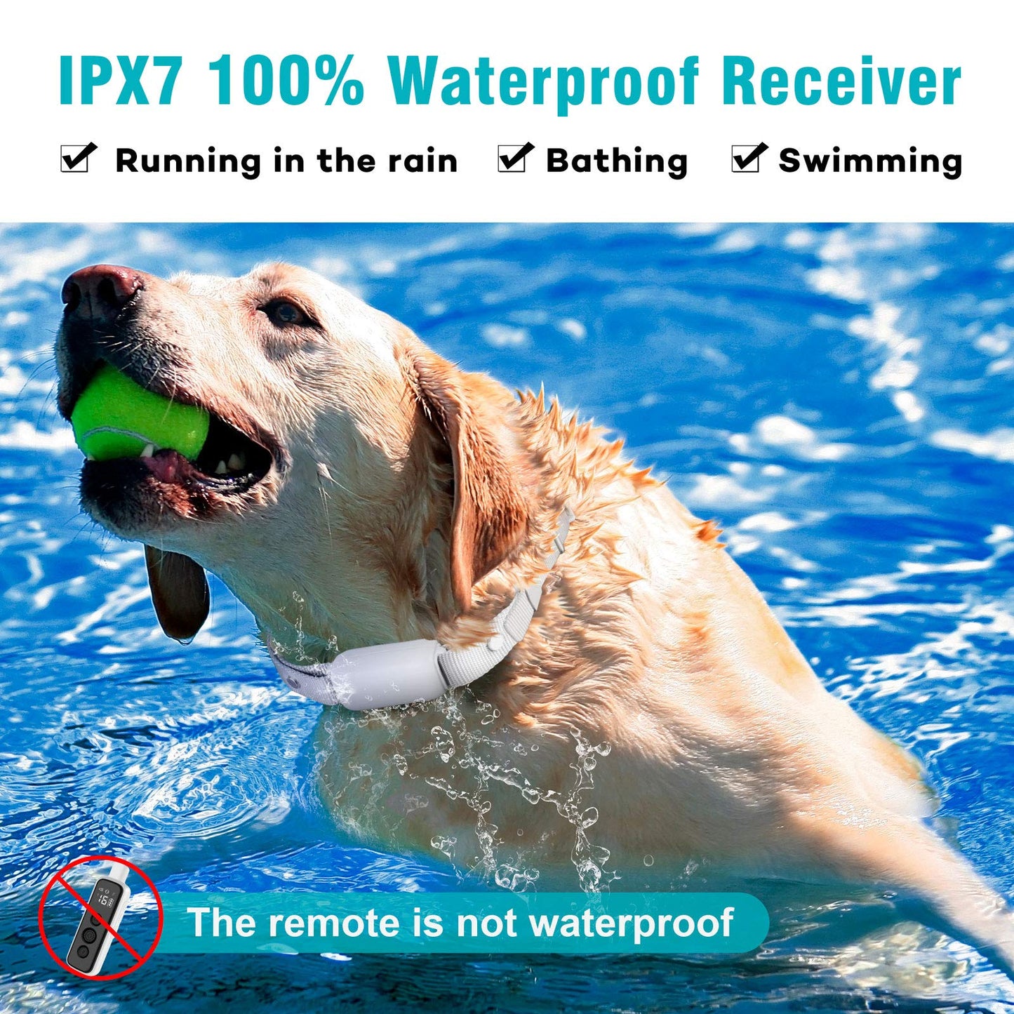 Waterproof Remote Training Collar for Two Dogs