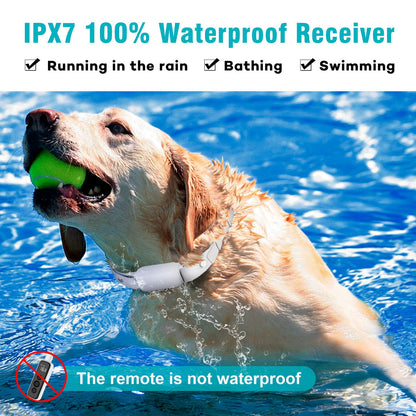 Waterproof Remote Training Collar for Two Dogs