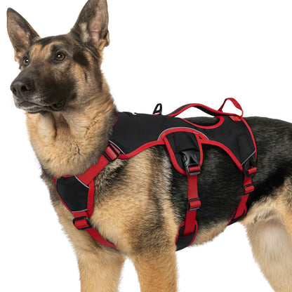 No-Pull Dog Harness with Lift Handle