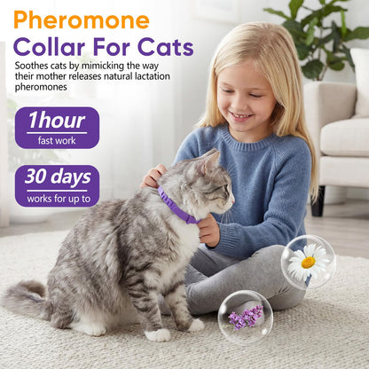 Calming Cat Collar with Long-Lasting Pheromones