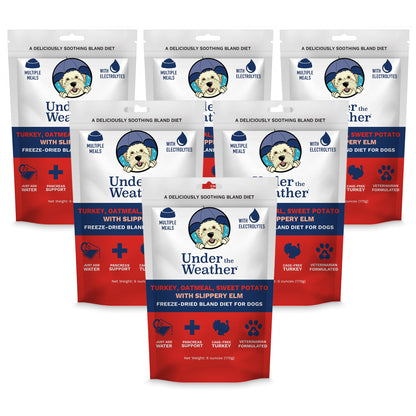 Easy-Digest Bland Diet Dog Food with Electrolytes