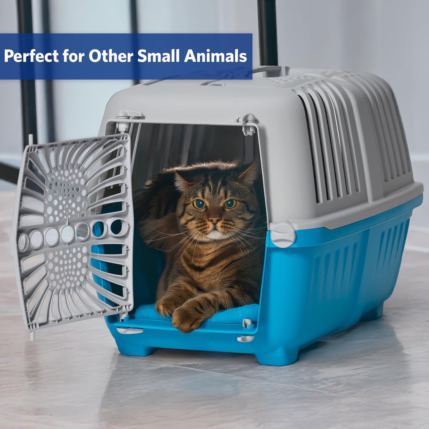 Small Pet Travel Kennel for Dogs & Cats