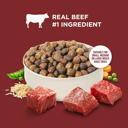 Nutrish Rachael Ray Adult Dry Dog Food Real Beef