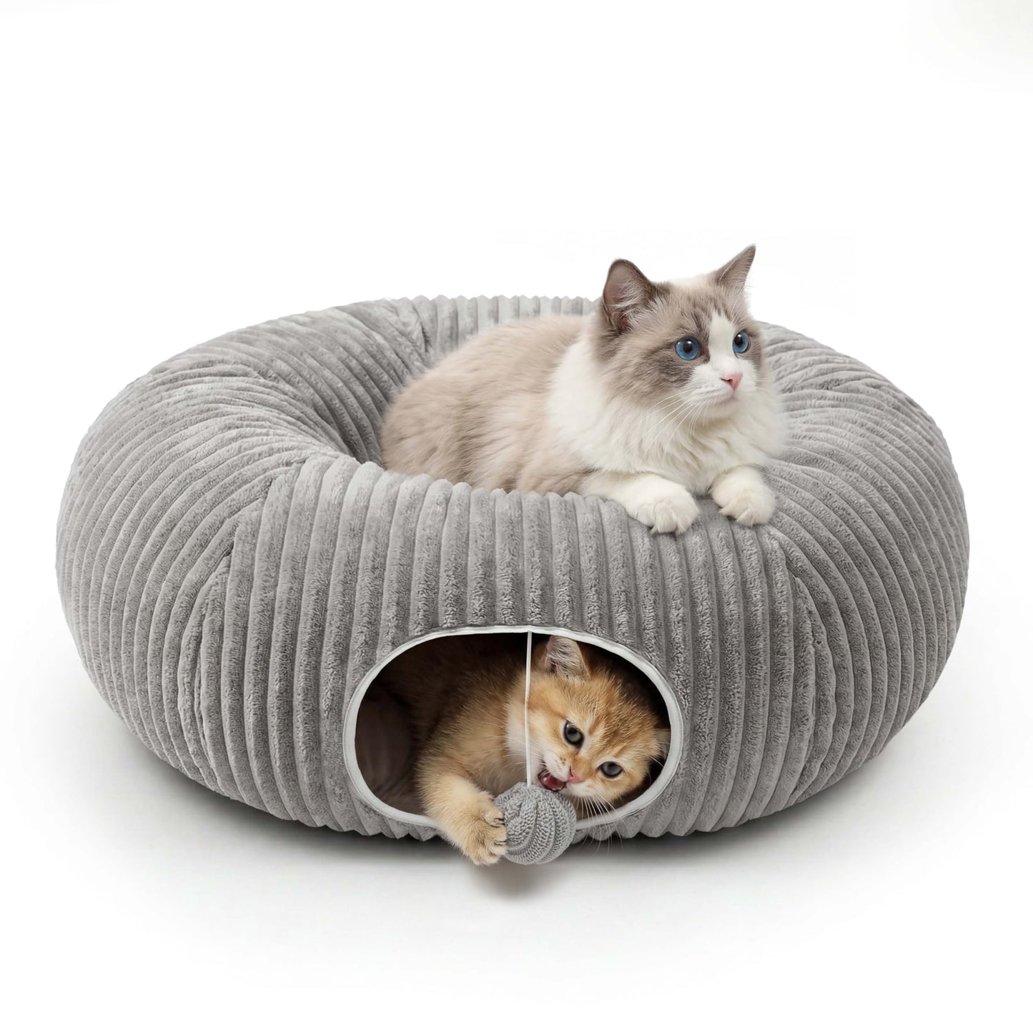 Interactive Cat Tunnel for Play & Exploration
