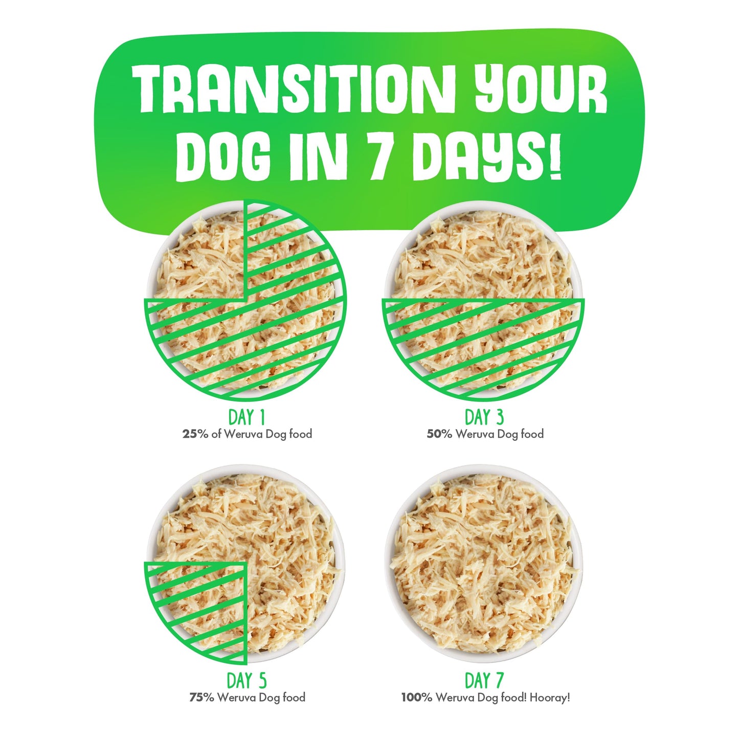 Waterproof Remote Training Collar for Two Dogs