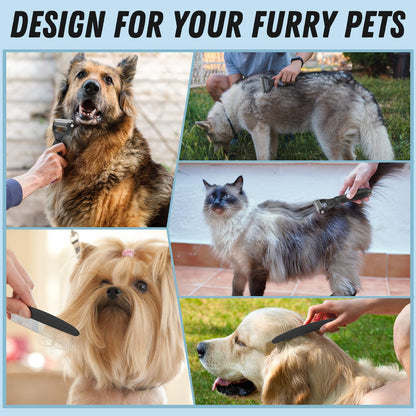 Pet Grooming Brush & Metal Comb Set for Dogs & Cats