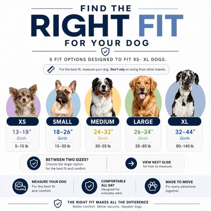 No-Pull Padded Dog Harness with 3 Leash Clips
