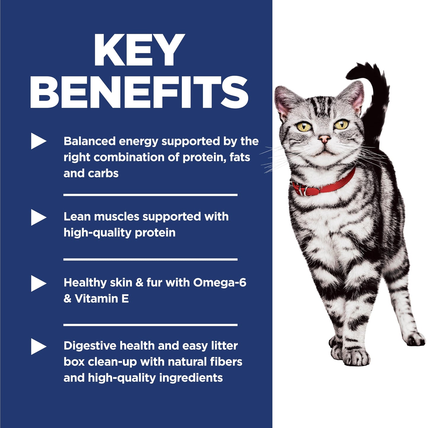Indoor Adult Dry Cat Food for Healthy Digestion