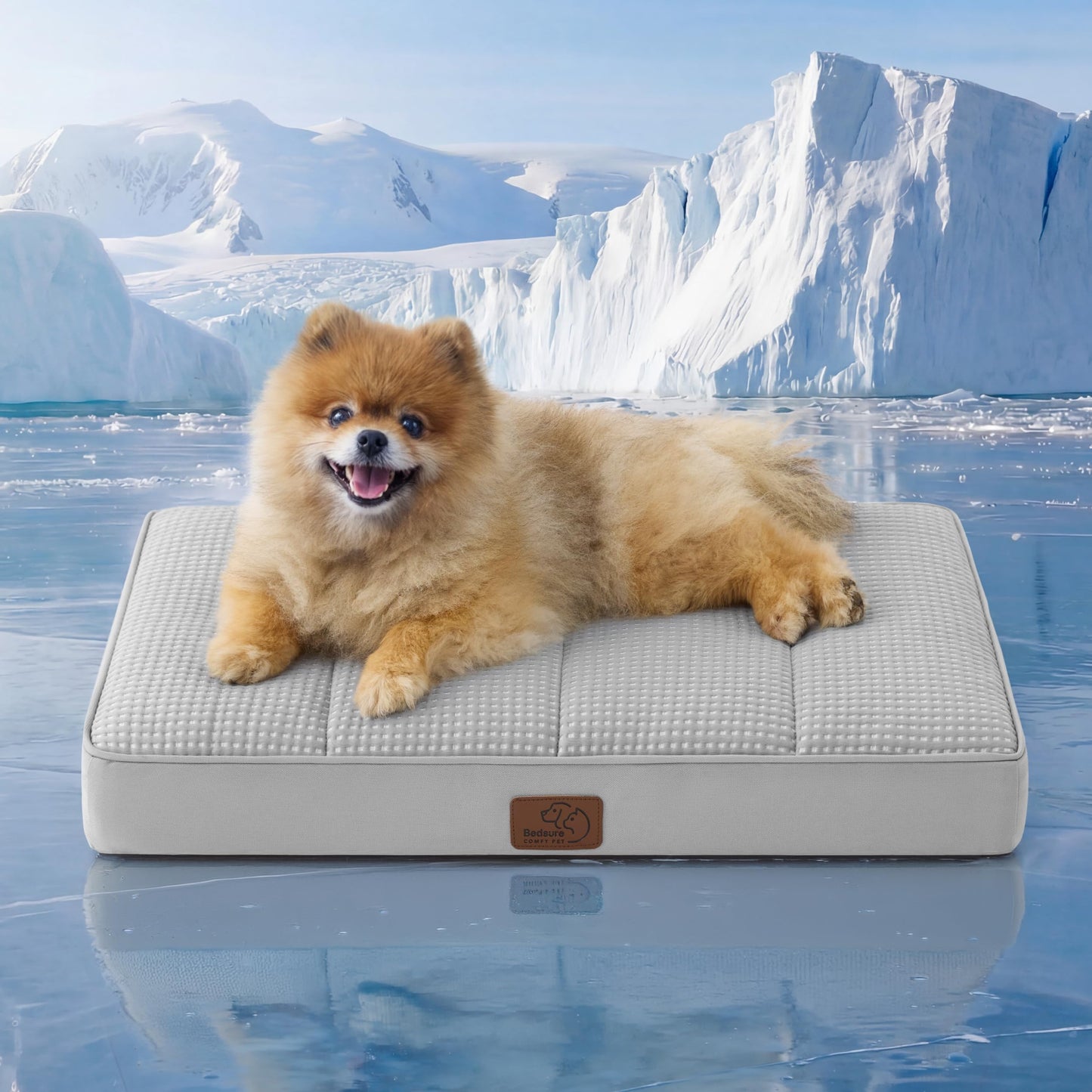 Washable Sherpa Dog Bed for Large Dogs