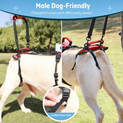 Full-Body Dog Lift Harness for Senior Dogs