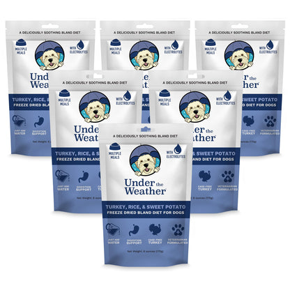 Easy-Digest Bland Diet Dog Food with Electrolytes