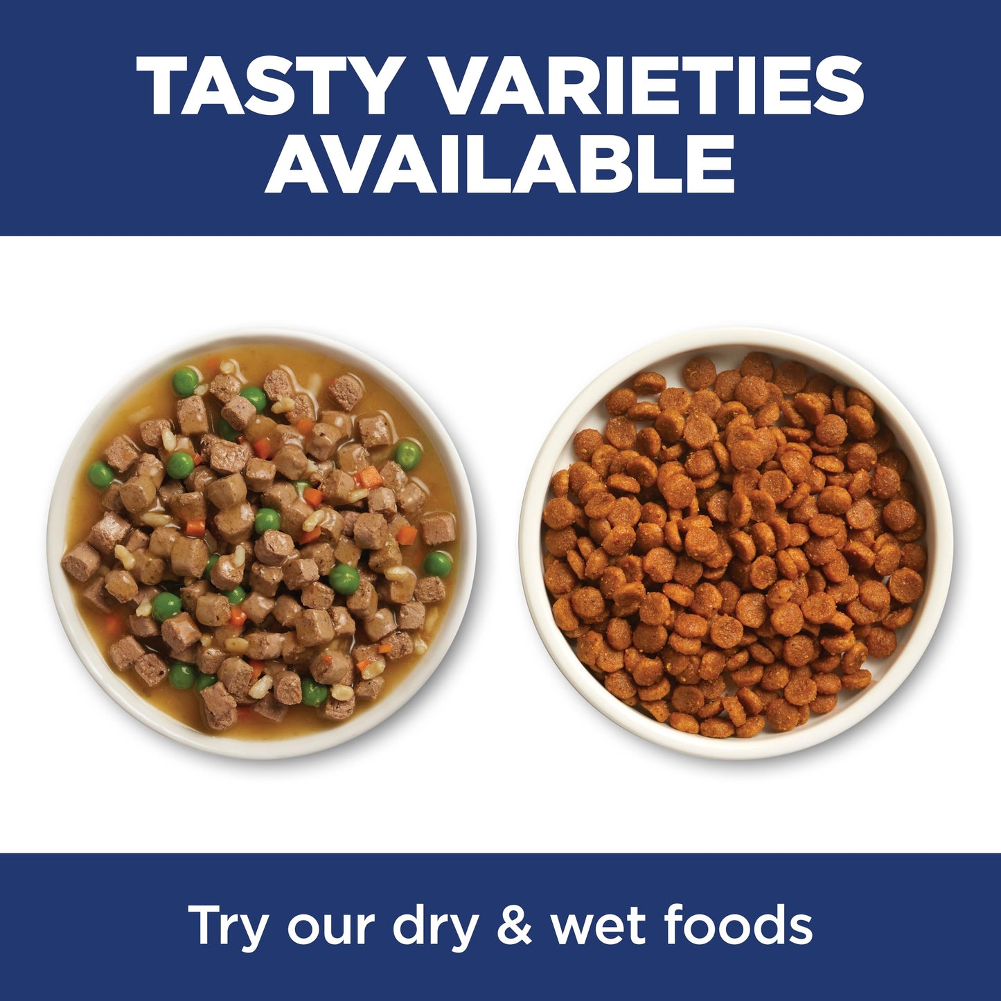 Indoor Adult Dry Cat Food for Healthy Digestion