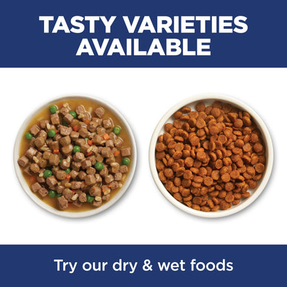 Indoor Adult Dry Cat Food for Healthy Digestion