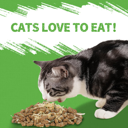 Natural Cat Treats for Training & Daily Rewards