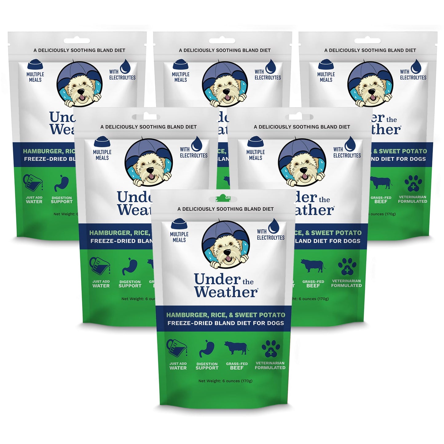 Easy-Digest Bland Diet Dog Food with Electrolytes