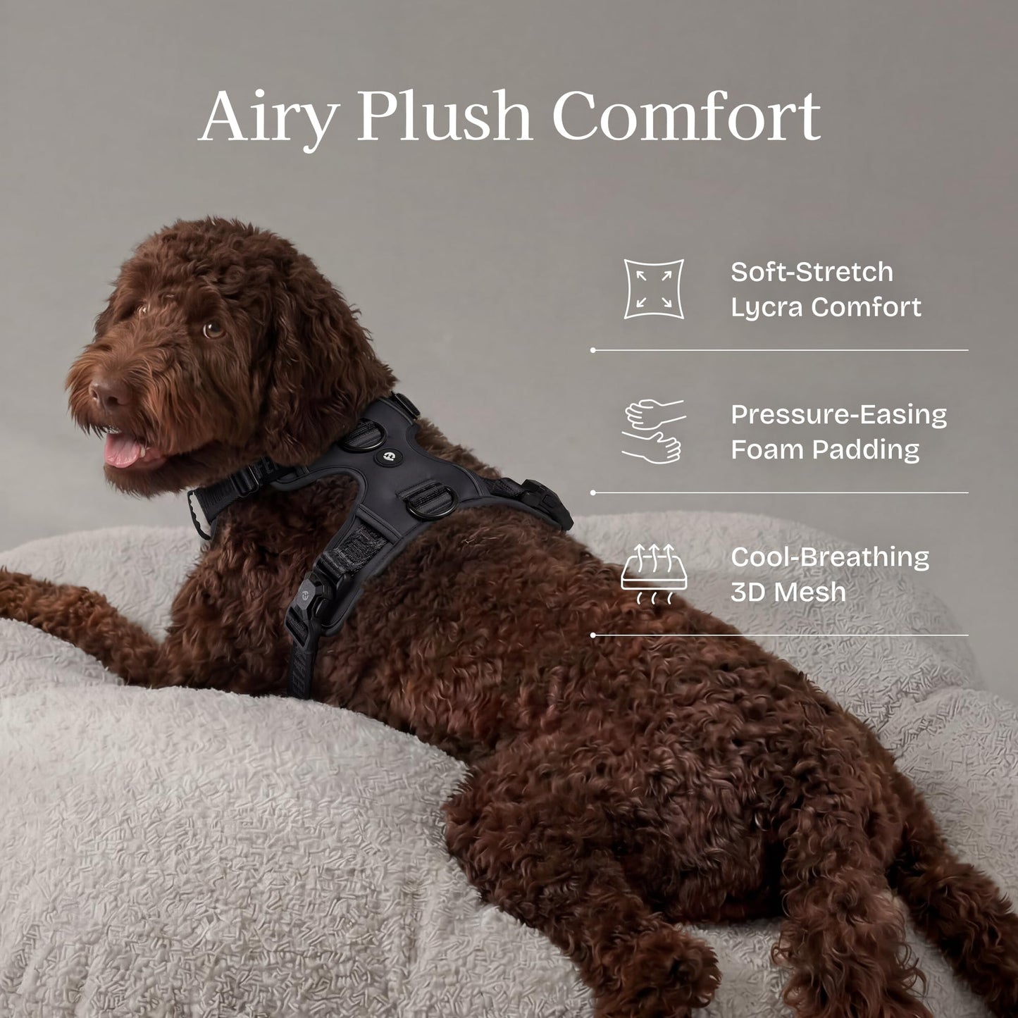 Cloud Comfort Dog Harness for Medium & Large Dogs