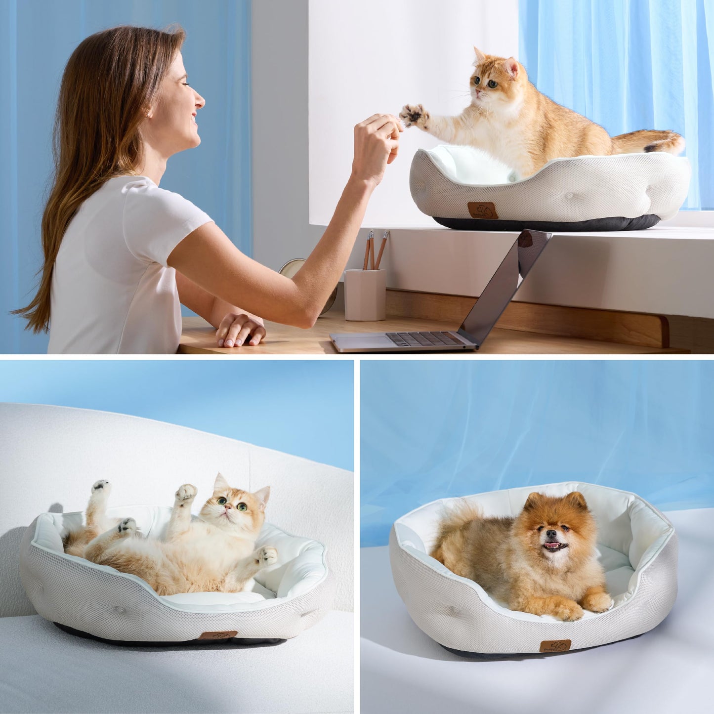 Washable Round Pet Bed for Small Dogs & Cats
