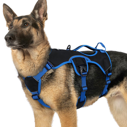 No-Pull Dog Harness with Lift Handle