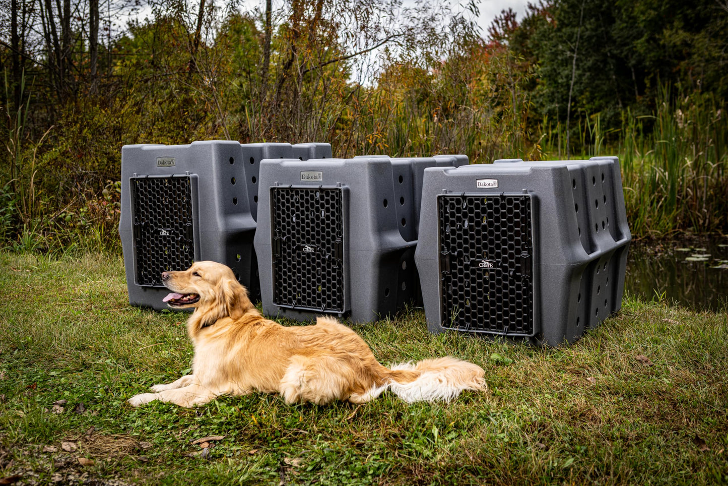 Heavy-Duty Dog Crate for Travel & Everyday Use