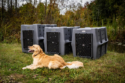 Heavy-Duty Dog Crate for Travel & Everyday Use