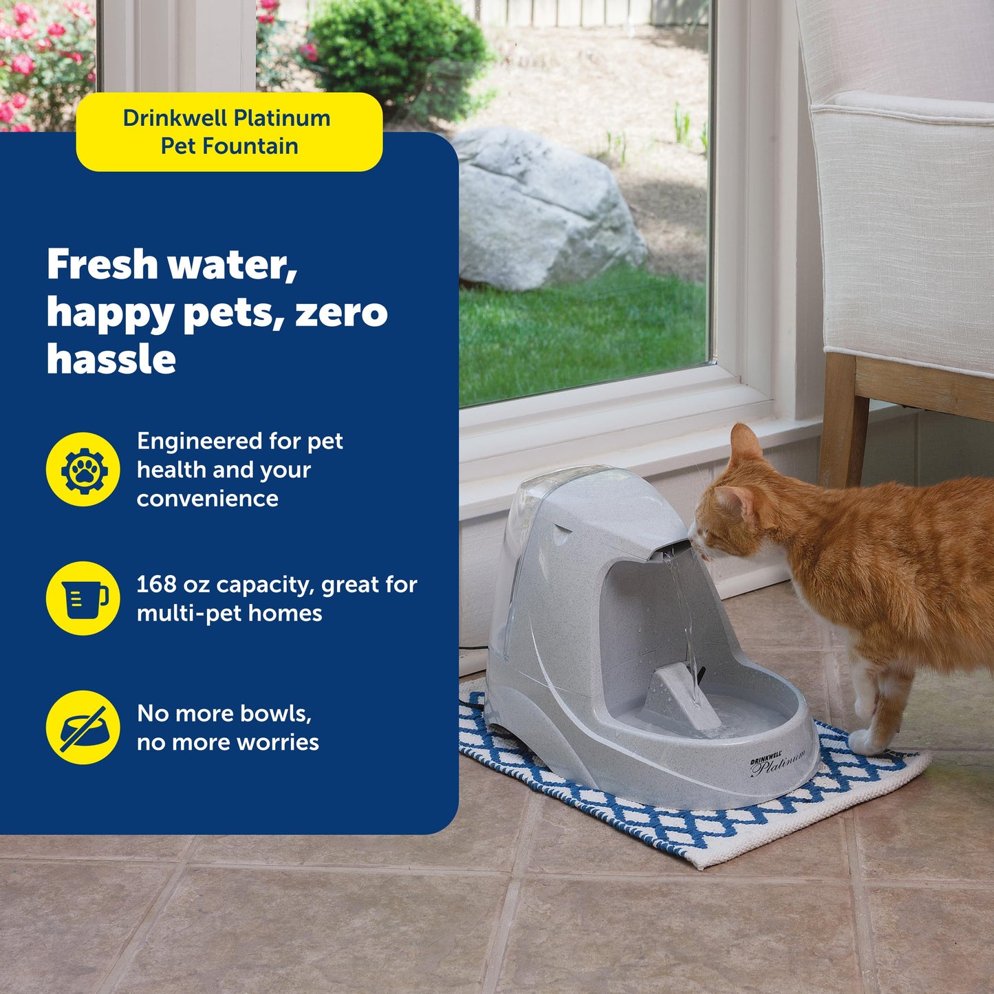 168 oz Pet Water Fountain for Dogs & Cats