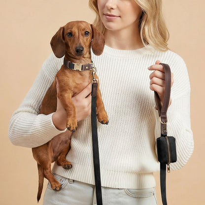 PU Leather Dog Collar with Soft Nylon Lining
