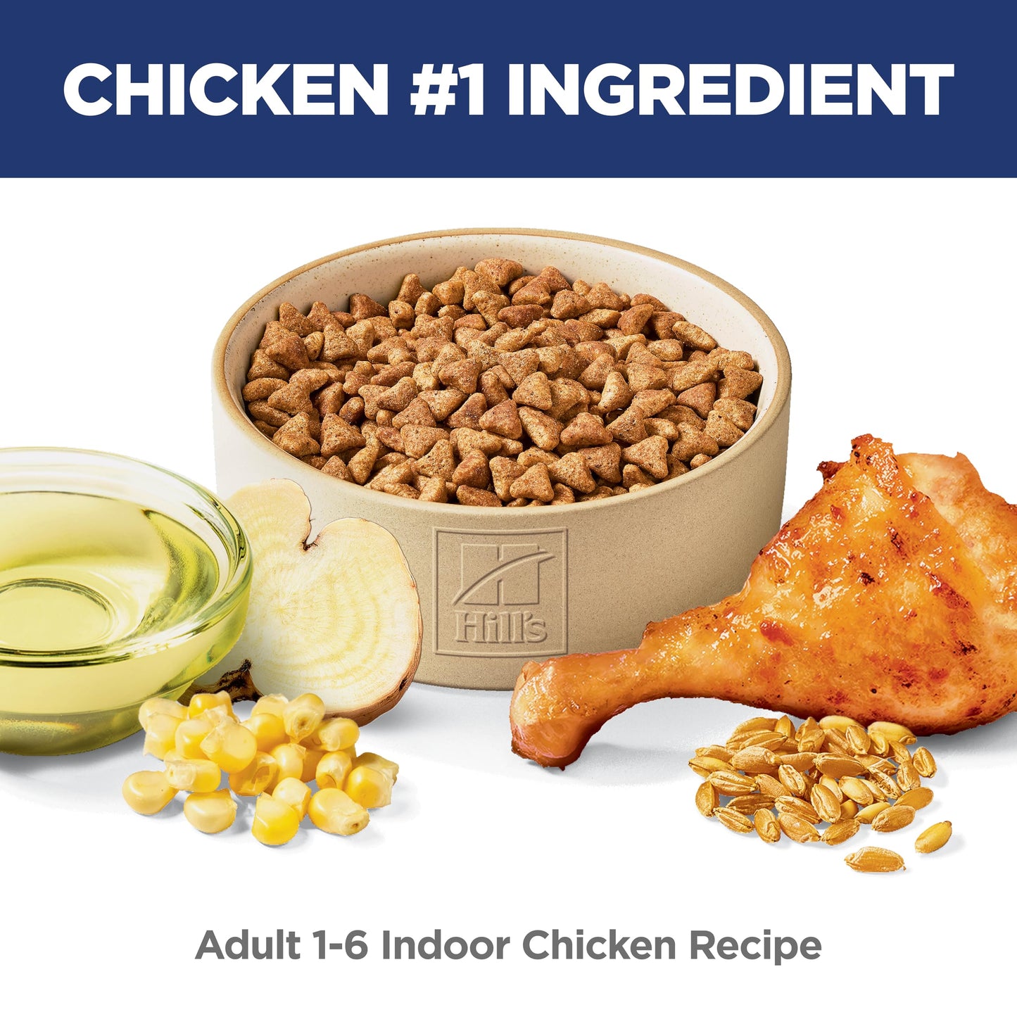 Indoor Adult Dry Cat Food for Healthy Digestion