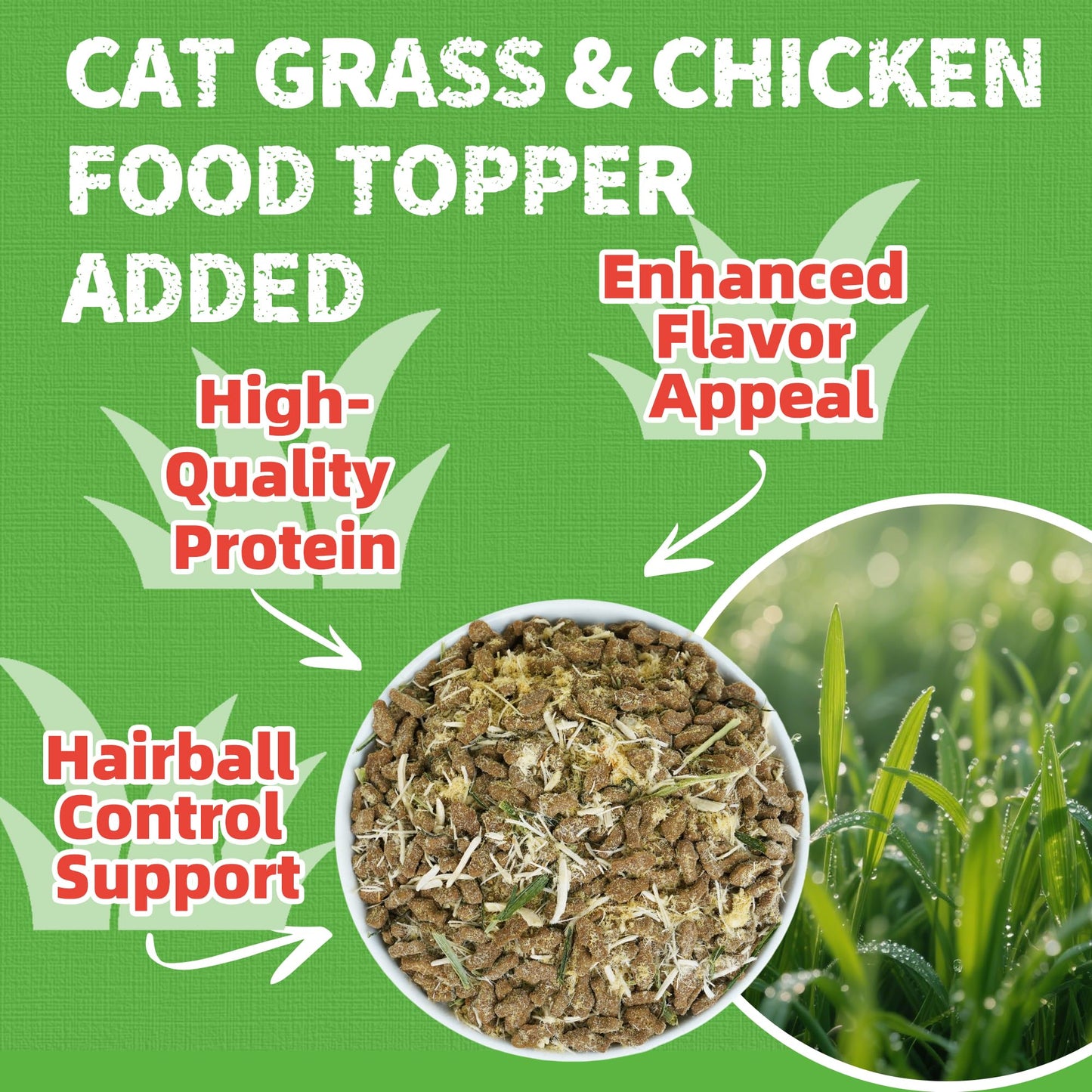 Natural Cat Treats for Training & Daily Rewards