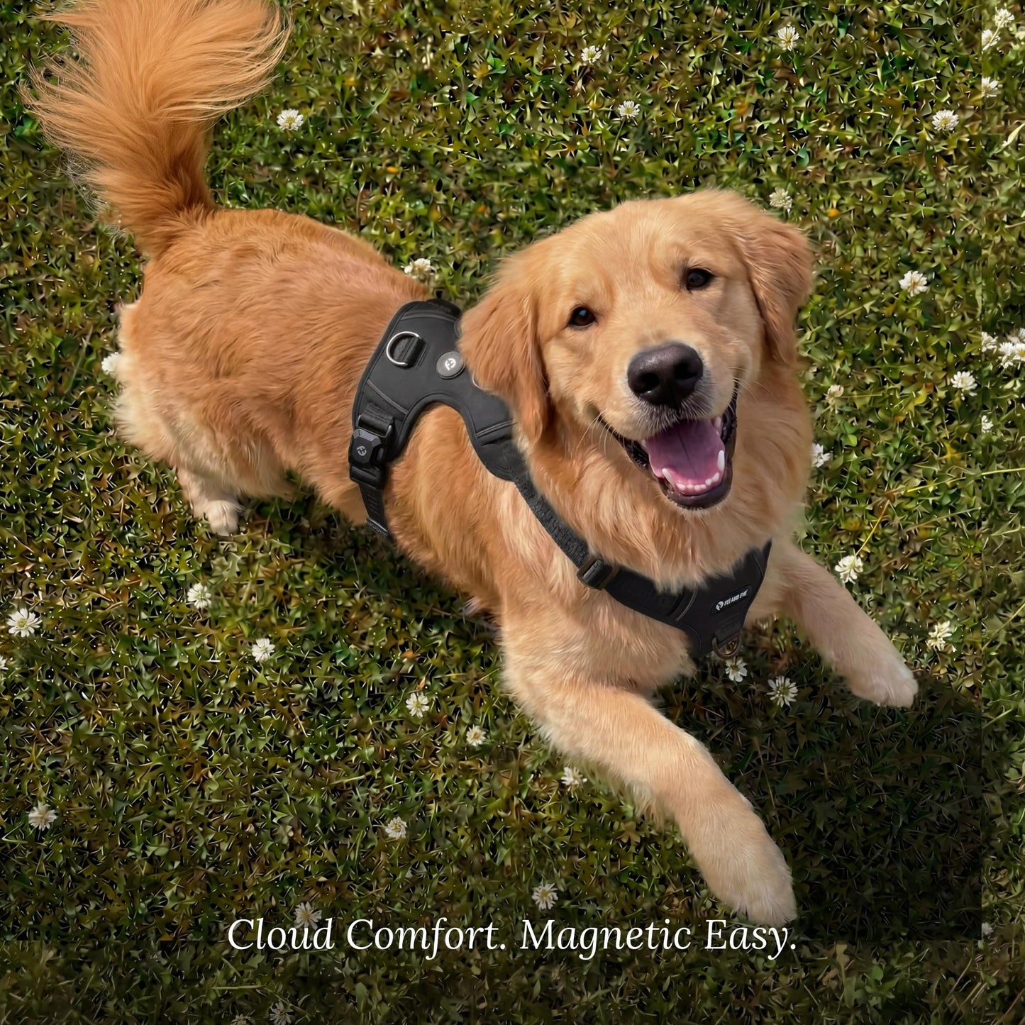 Cloud Comfort Dog Harness for Medium & Large Dogs