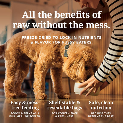 High-Protein Grain-Free Wet Dog Food Pâté