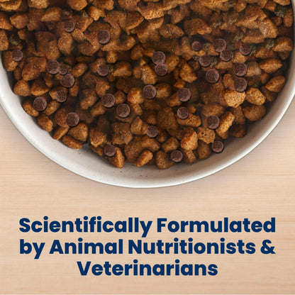 Adult Dry Dog Food for Daily Nutrition