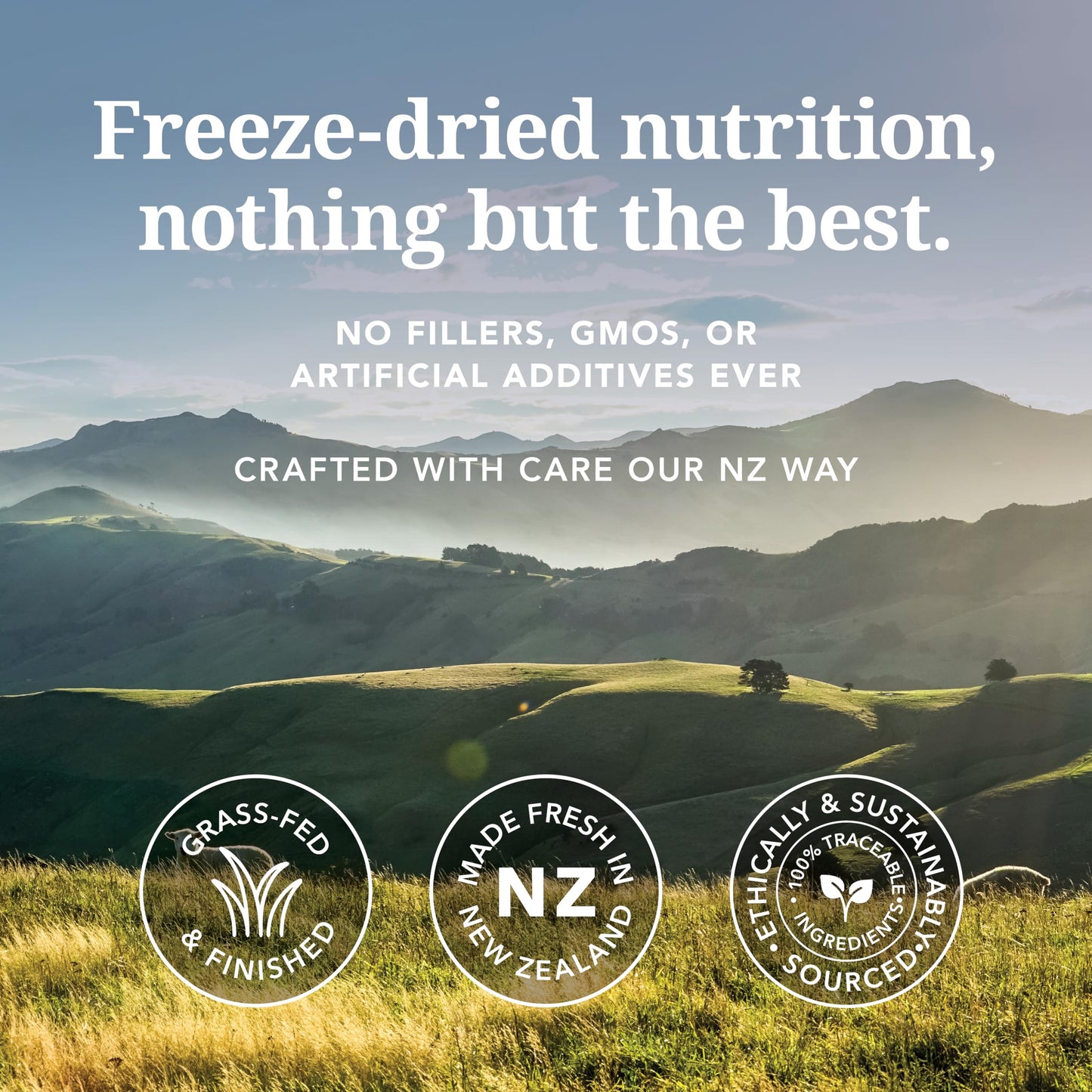 High-Protein Grain-Free Wet Dog Food Pâté